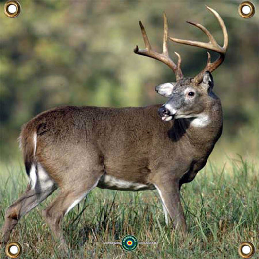 Products – Lost Nation Archery