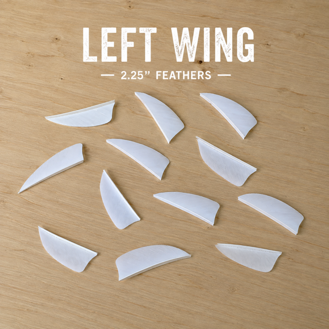 2.25" Feathers Left Wing