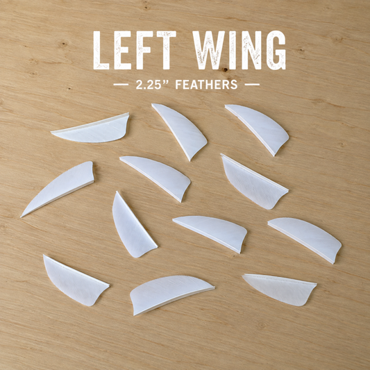 2.25" Feathers Left Wing